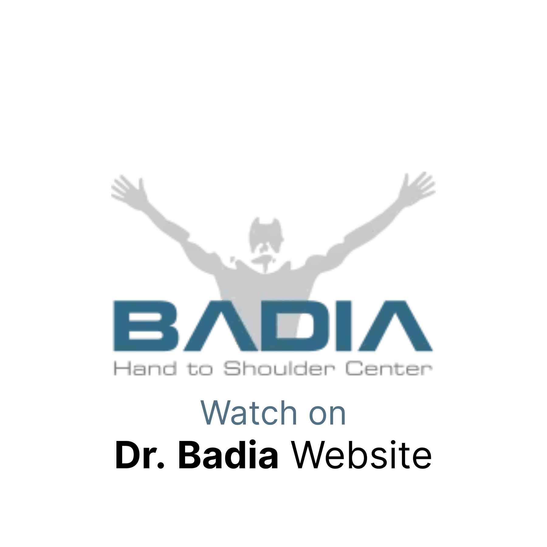 Badia icon